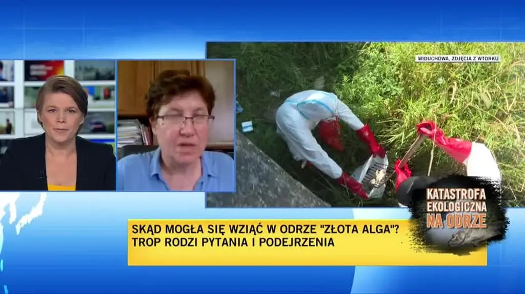 Joanna Podlasińsą 2