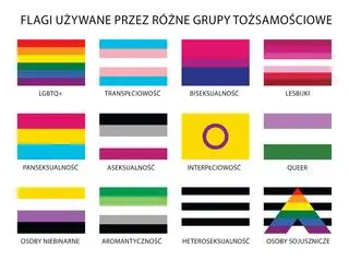Flagi używane przez różne grupy tożsamościowe
