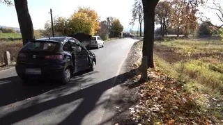 Samochód uderzył w drzewo stroną pasażera