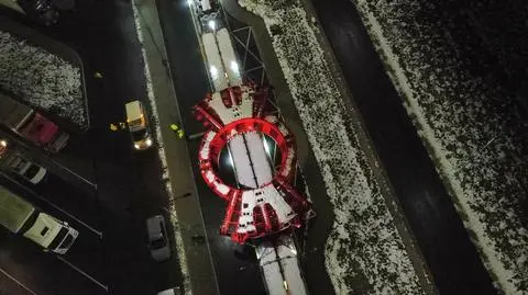 Nela, Karpatka, a może Mała Mi? Internauci wybrali imię olbrzymiego "kreta" 