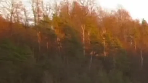 Stok narciarski w Bałtowie