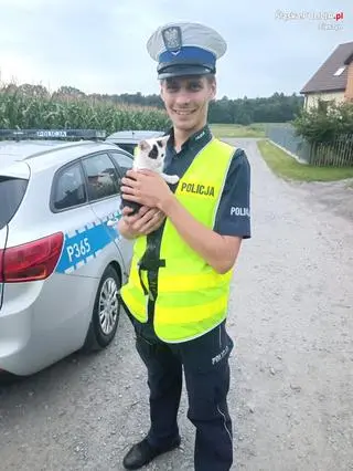 Policjant uratował małego kota, który błąkał się nocą po drodze krajowej