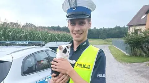 Policjant uratował małego kota, który błąkał się nocą po drodze krajowej