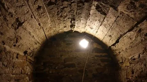 Szczątki 10 osób, w tym siedmiorga dzieci, w krypcie, o której archiwa milczą