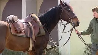 Obchody zakończą się w niedzielę 