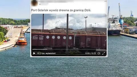 "Drewno za granicę, a Polacy mają palić chrustem"? Co wiadomo o tym transporcie