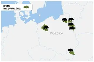 Obszar występowania żubra