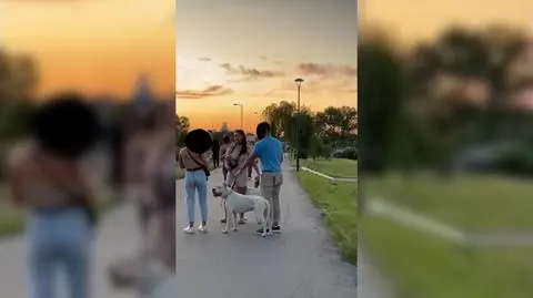 Do zdarzenia doszło 1 czerwca na bulwarze Wołyńskim w Krakowie