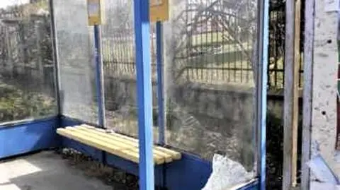 Przyznał się policjantom, że ukradł dwie siekiery i zdemolował nimi przystanki