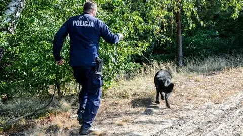 Jechali autami skradzionymi w Niemczech, na widok policji porzucili je w zagajniku