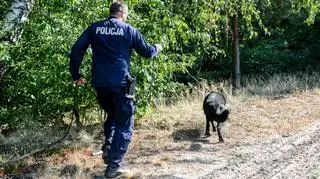 W poszukiwania zaangażowano funkcjonariusza z psem tropiącym
