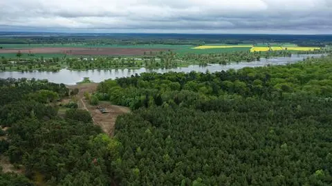 Z Odry wyłowiono ciało. Policja potwierdza, że to jeden z zaginionych chłopców 