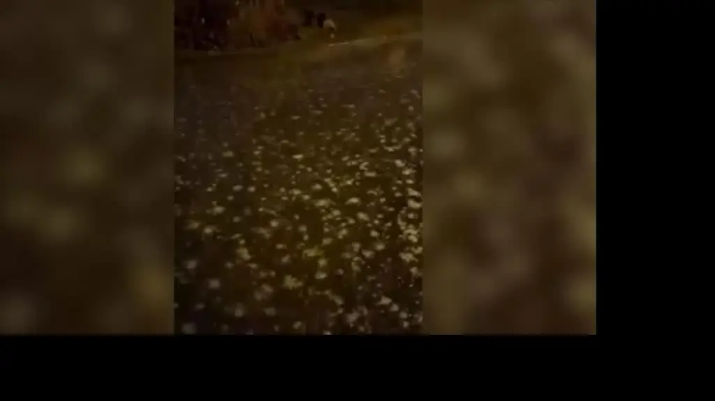 Trudne warunki w Świeciu