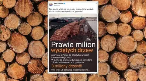 Nieprawdopodobny eksport drewna? Senator publikuje nieaktualne dane