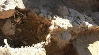 Badacze będą pracować do 28