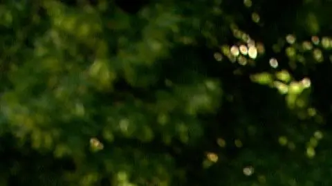Rzeczniczka prokuratury: kwestia wpłaty nie jest równoznaczna z kwestią przyjęcia poręczenia majątkowego
