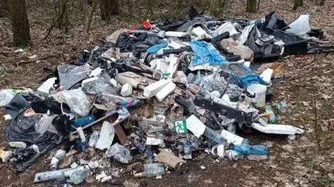 Mandat nie wystarczył, dalej wyrzucał śmieci do lasu. Zapłaci grzywnę i pokryje koszty sprzątania