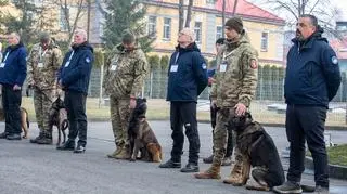 Aktualnie czytasz: Шукати в Україні міни та боєприпаси, які не вибухнули, будуть собаки.  Військові отримали їх у Новому Сончі