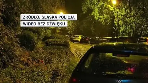 slaska policja 