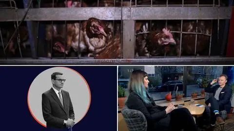 Dziennikarze TVN24, TVN24 GO i Konkret24 nominowani do nagrody Grand Press