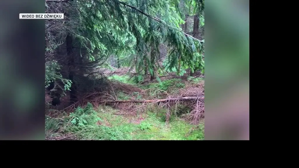 slajdszoł dla Igora