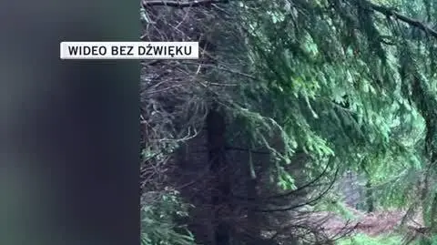 slajdszoł dla Igora