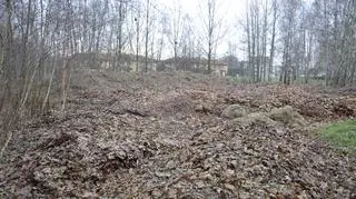 Liście wysypali na osiedlu