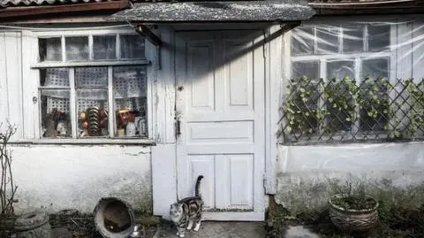 Nielegalne przybudówki, "przypadkowe" pożary lasu i kolejki po wodę. Po sąsiedzku z "pałacem dla Putina"