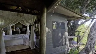 Mombo Camp & Little Mombo Camp w Bostwanie