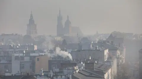 Nieleczona alergia na smog może prowadzić do rozwoju astmy oskrzelowej