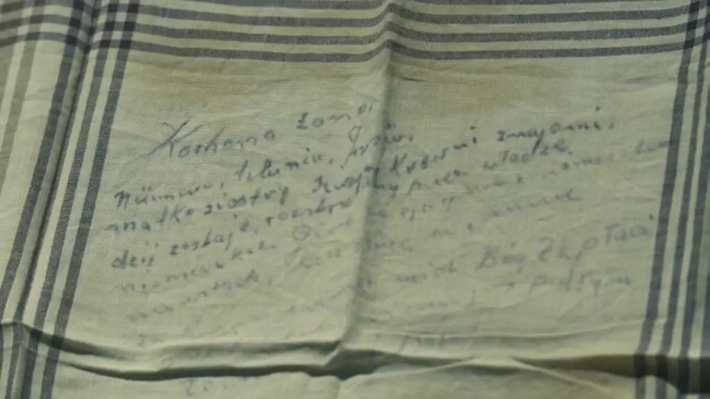 Historia Bolesława Wnuka