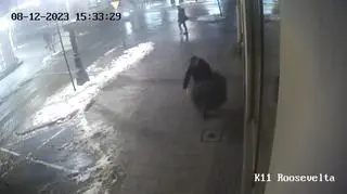Do zdarzenia doszło na ulicy Piotrkowskiej w Łodzi