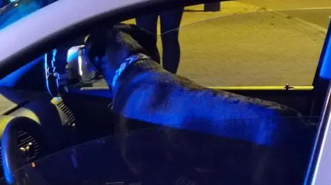 W aucie zostawili psa i uciekli pieszo. Pasażera zatrzymali, kierowcy wciąż szukają