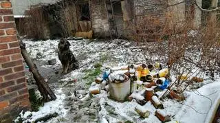 Drops na łańcuchu spędził cały ostatni rok