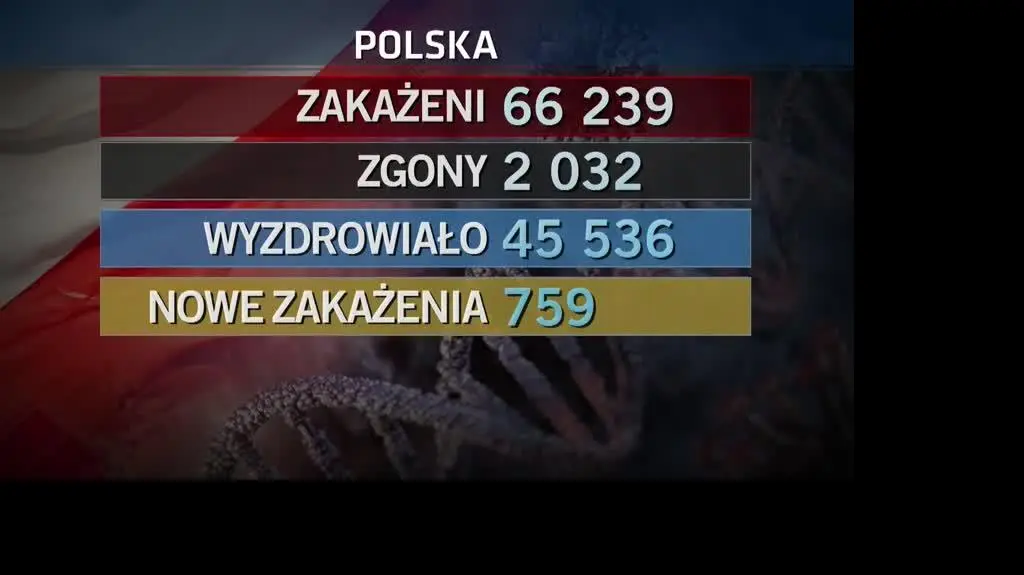 przypadki