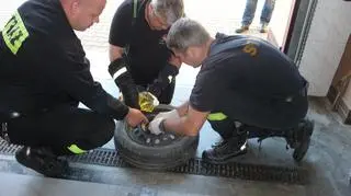 Strażacy chcieli wyjąć kota za pomocą oleju