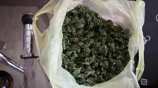 Śledczy zabezpieczyli ok