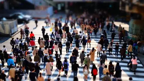 shutterstock_613261976