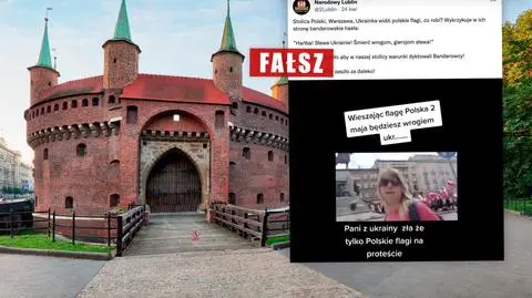 Ukrainka była "zła, że tylko polskie flagi na proteście"? Co naprawdę pokazuje ten film