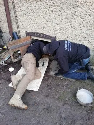 Zaniedbany pies został znaleziony na działce w Smardzowicach (woj. małopolskie)