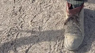 Buty pani Wandy po próbie przejechania ulicą Wrzecionową