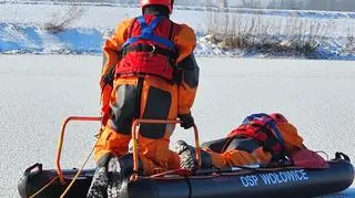 Strażacy ruszyli na pomoc łabędziowi w Wołowicach (woj. małopolskie)