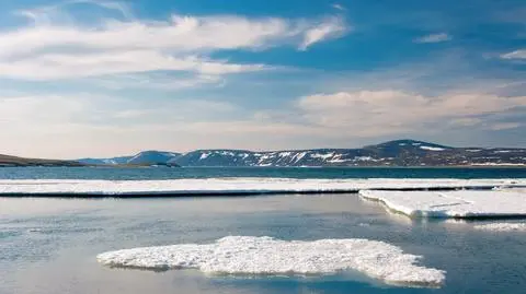 Topnienie lodowców przyspiesza. Rosyjska Arktyka traci rocznie siedem tysięcy hektarów