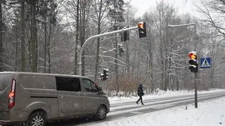 Sygnalizacja w środku lasu została włączona po blisko dwóch latach