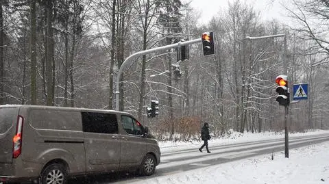 Wybudowali sygnalizację w środku lasu. Uruchomili ją niemal po dwóch latach
