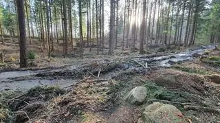 Ślady po ciężkim sprzęcie