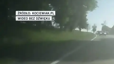kociewiak