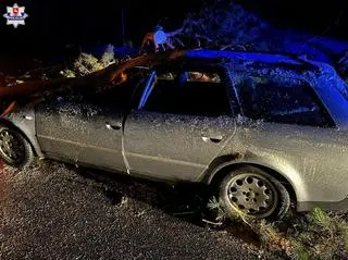 Kierowca wjechał w leżące na drodze drzewo