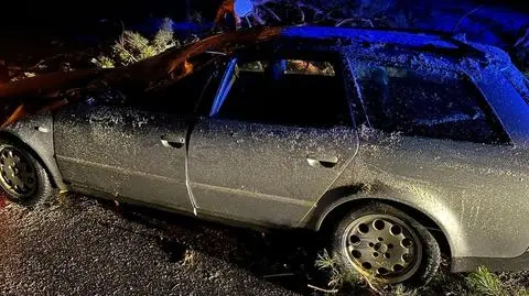 Kierowca wjechał w leżące na drodze drzewo