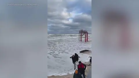 Klatka kluczowa-124508